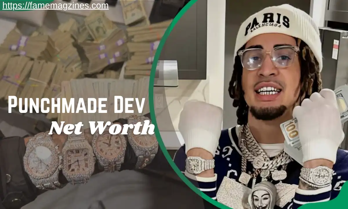 Punchmade Dev Net Worth